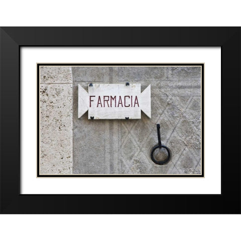 Italy, Tuscany, Pienza Pharmacy sign on wall Black Modern Wood Framed Art Print with Double Matting by Flaherty, Dennis