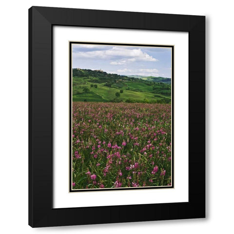 Italy, Pienza Medieval town seen on hilltop Black Modern Wood Framed Art Print with Double Matting by Flaherty, Dennis