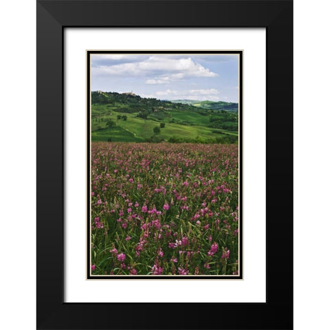 Italy, Pienza Medieval town seen on hilltop Black Modern Wood Framed Art Print with Double Matting by Flaherty, Dennis