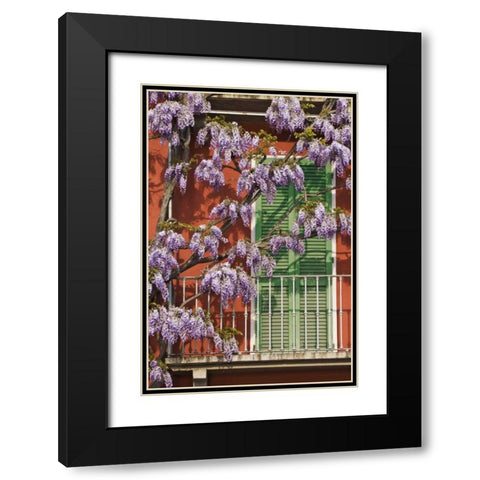 Italy, Varenna Flowers grow over front of house Black Modern Wood Framed Art Print with Double Matting by Flaherty, Dennis