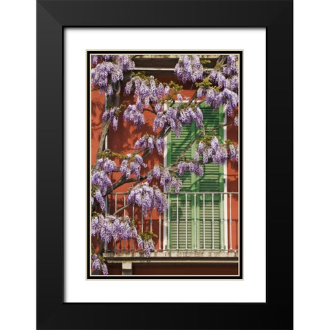 Italy, Varenna Flowers grow over front of house Black Modern Wood Framed Art Print with Double Matting by Flaherty, Dennis