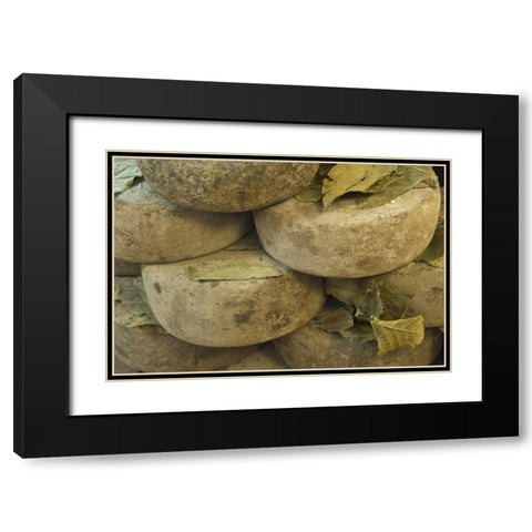 Italy, Tuscany, Pienza Cheese being seasoned Black Modern Wood Framed Art Print with Double Matting by Flaherty, Dennis