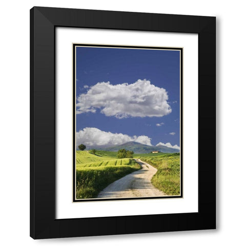 Italy, Tuscany Road leading to a villa Black Modern Wood Framed Art Print with Double Matting by Flaherty, Dennis