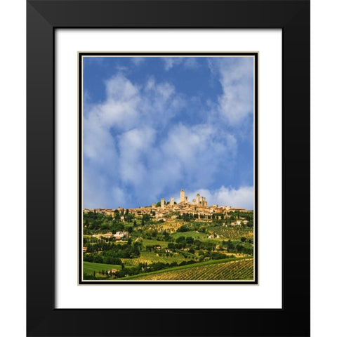 vineyards and hilltop town San Gimignano, Italy Black Modern Wood Framed Art Print with Double Matting by Flaherty, Dennis