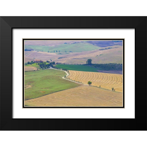 Italy, Tuscany, Pienza Tuscan landscape Black Modern Wood Framed Art Print with Double Matting by Delisle, Gilles