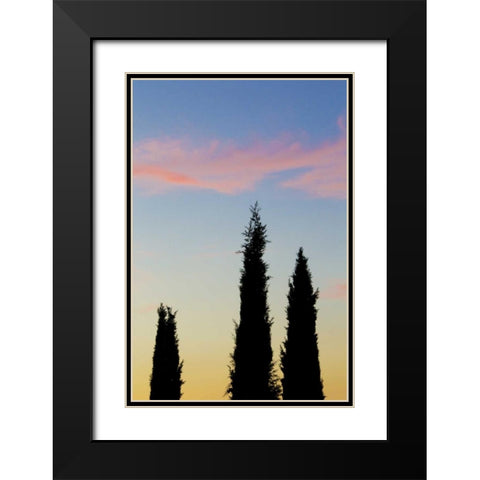 Italy, Orvieto Cypress trees and cloud at sunset Black Modern Wood Framed Art Print with Double Matting by Delisle, Gilles