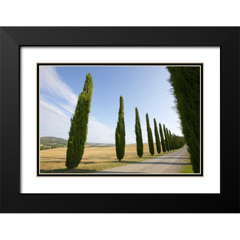 Italy, Tuscany Road and cypress trees Black Modern Wood Framed Art Print with Double Matting by Delisle, Gilles
