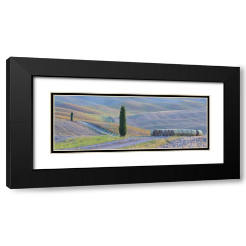 Italy, Tuscany Hay bales and farmland Black Modern Wood Framed Art Print with Double Matting by Delisle, Gilles