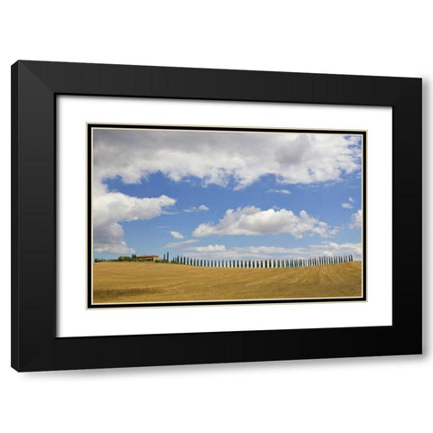 Italy, Tuscany Cypress tree alley and farm house Black Modern Wood Framed Art Print with Double Matting by Delisle, Gilles