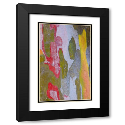 Italy, Tuscany Cypress tree bark patterns Black Modern Wood Framed Art Print with Double Matting by Delisle, Gilles