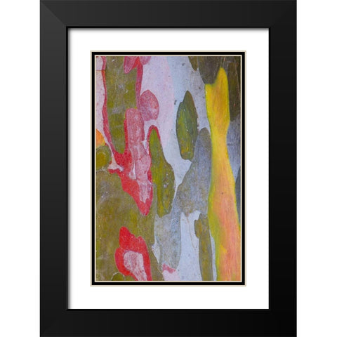 Italy, Tuscany Cypress tree bark patterns Black Modern Wood Framed Art Print with Double Matting by Delisle, Gilles