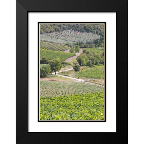 Italy, Radda Winery vineyards and olive groves Black Modern Wood Framed Art Print with Double Matting by Delisle, Gilles