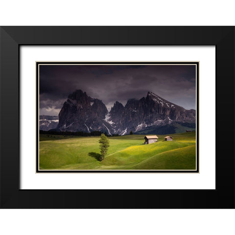 Europe-Italy-South Tirol-Alpine meadows with the Sasso Lungo and Sasso Piatto Mountains Black Modern Wood Framed Art Print with Double Matting by Jaynes Gallery