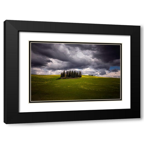 Europe-Italy-Tuscany-Val d Orcia-Cypress grove and farmland Black Modern Wood Framed Art Print with Double Matting by Jaynes Gallery