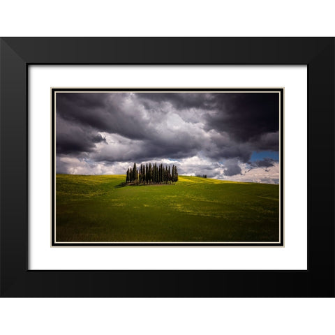 Europe-Italy-Tuscany-Val d Orcia-Cypress grove and farmland Black Modern Wood Framed Art Print with Double Matting by Jaynes Gallery