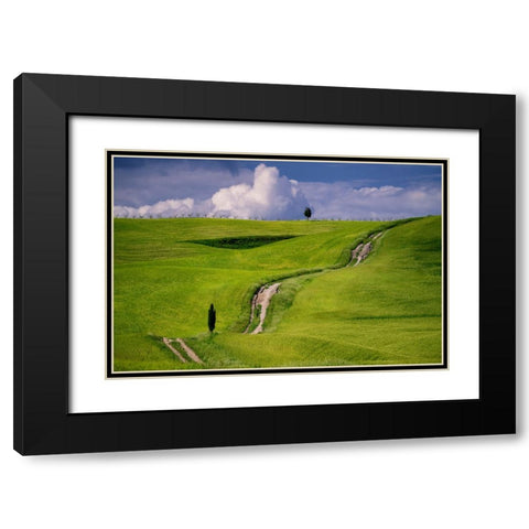 Europe-Italy-Tuscany-Val d Orcia-Cypress tree and winding road in farmland hills Black Modern Wood Framed Art Print with Double Matting by Jaynes Gallery