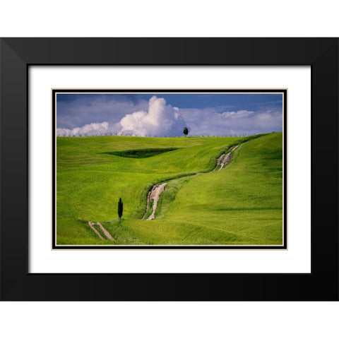 Europe-Italy-Tuscany-Val d Orcia-Cypress tree and winding road in farmland hills Black Modern Wood Framed Art Print with Double Matting by Jaynes Gallery