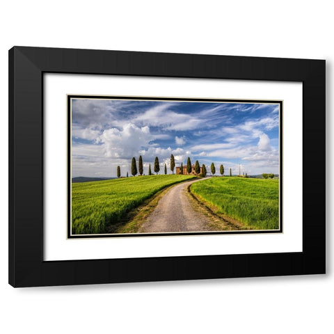 Europe-Italy-Tuscany-Val d Orcia-Road to Il Cipressini farmhouse Black Modern Wood Framed Art Print with Double Matting by Jaynes Gallery