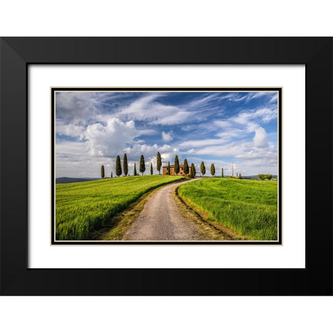 Europe-Italy-Tuscany-Val d Orcia-Road to Il Cipressini farmhouse Black Modern Wood Framed Art Print with Double Matting by Jaynes Gallery