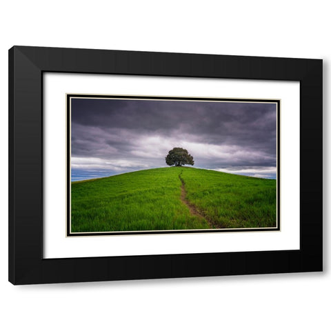 Europe-Italy-Tuscany-Val d Orcia-Trail to lone tree in farmland Black Modern Wood Framed Art Print with Double Matting by Jaynes Gallery