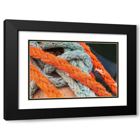 Agrigento Province-Sciacca Ropes on a fishing boat in the harbor of Sciacca Black Modern Wood Framed Art Print with Double Matting by Wilson, Emily