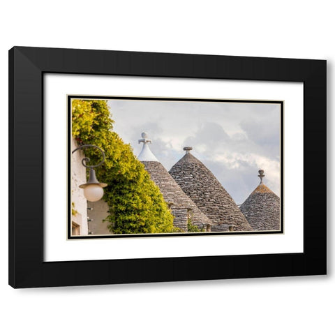 Italy-Apulia-Metropolitan City of Bari-Alberobello Trulli houses Black Modern Wood Framed Art Print with Double Matting by Wilson, Emily