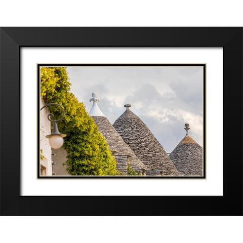 Italy-Apulia-Metropolitan City of Bari-Alberobello Trulli houses Black Modern Wood Framed Art Print with Double Matting by Wilson, Emily