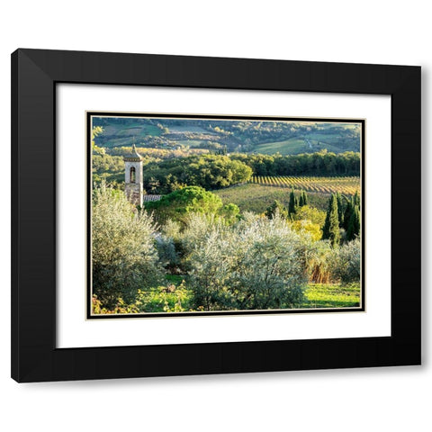 Italy-Chianti Pieve di Santa Maria Novella near Radda in Chianti Black Modern Wood Framed Art Print with Double Matting by Eggers, Julie