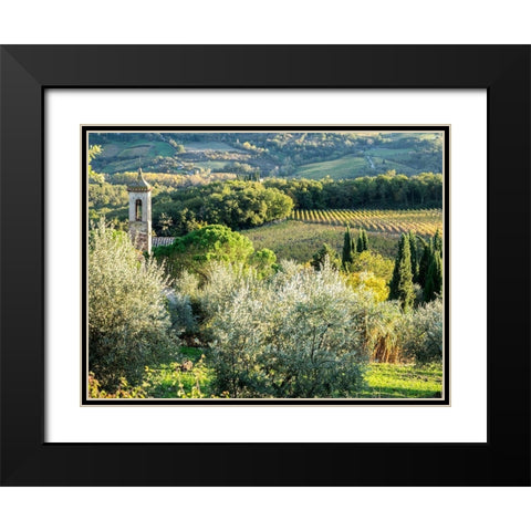Italy-Chianti Pieve di Santa Maria Novella near Radda in Chianti Black Modern Wood Framed Art Print with Double Matting by Eggers, Julie