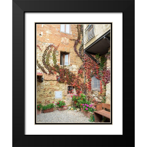 Italy-Chianti Back street alleyway with fall colored climbing vine Black Modern Wood Framed Art Print with Double Matting by Eggers, Julie