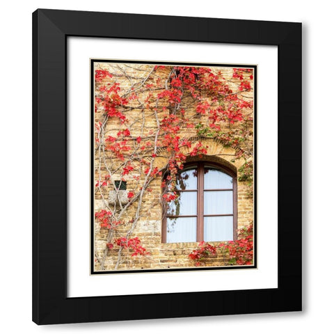 Italy-Chianti Red climbing ivy vine on a stone wall Black Modern Wood Framed Art Print with Double Matting by Eggers, Julie