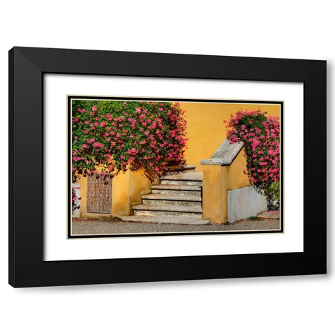 Italy-Tuscany Stairs covered in flowers Black Modern Wood Framed Art Print with Double Matting by Eggers, Julie