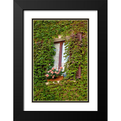 Italy-Tuscany-Montepulciano Window surrounded by ivy with pot of geraniums in hill town Black Modern Wood Framed Art Print with Double Matting by Eggers, Julie