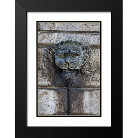 Italy-Tuscany-Montepulciano Carving of a lions head on a stone building Black Modern Wood Framed Art Print with Double Matting by Eggers, Julie