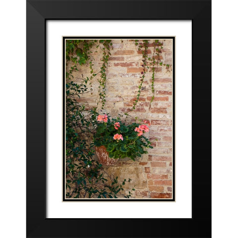 Italy-Tuscany-Montepulciano Geranium growing in a pot against an old brick building Black Modern Wood Framed Art Print with Double Matting by Eggers, Julie