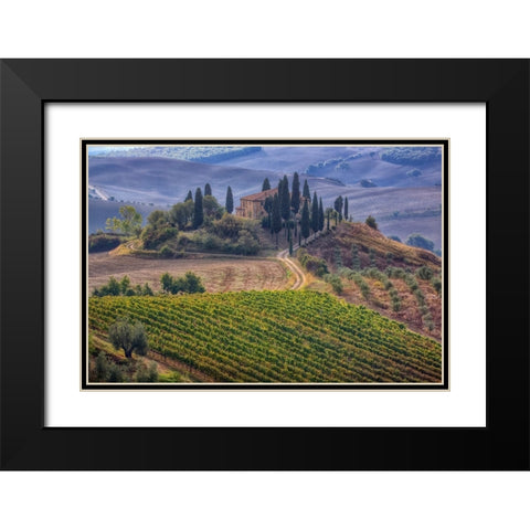 Italy-Tuscany Belvedere House-Olive trees-and vineyards near San Quirico dOrcia Black Modern Wood Framed Art Print with Double Matting by Eggers, Julie