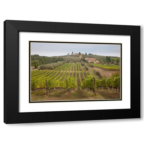 Italy-Tuscany Rows of grape vines in a vineyard in Tuscany Black Modern Wood Framed Art Print with Double Matting by Eggers, Julie