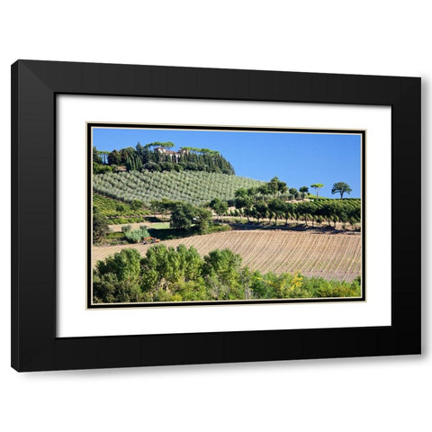Italy-Tuscany Villa on hillside surrounded with olive trees and vineyard Black Modern Wood Framed Art Print with Double Matting by Eggers, Julie