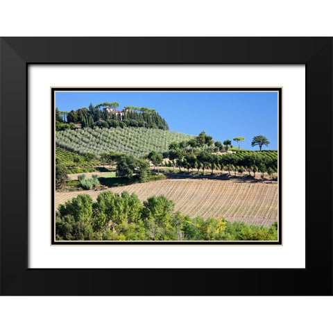 Italy-Tuscany Villa on hillside surrounded with olive trees and vineyard Black Modern Wood Framed Art Print with Double Matting by Eggers, Julie