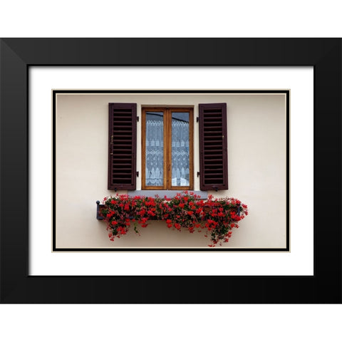Italy-Radda in Chianti Flower boxes with red geraniums below a window with shutters Black Modern Wood Framed Art Print with Double Matting by Eggers, Julie
