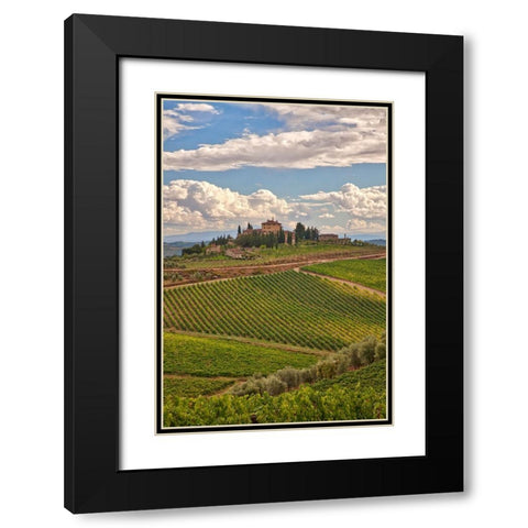 Italy-Tuscany A view of the vineyards and villa in Chianti region of Tuscany-Italy Black Modern Wood Framed Art Print with Double Matting by Eggers, Julie