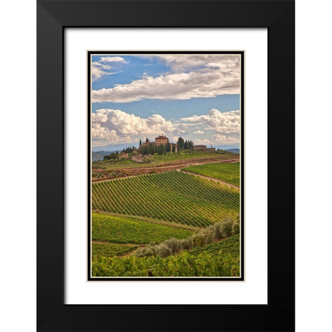 Italy-Tuscany A view of the vineyards and villa in Chianti region of Tuscany-Italy Black Modern Wood Framed Art Print with Double Matting by Eggers, Julie