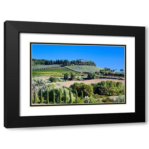 Italy-Tuscany Villa on hillside surrounded with olive trees and vineyard Black Modern Wood Framed Art Print with Double Matting by Eggers, Julie