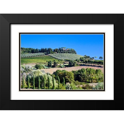 Italy-Tuscany Villa on hillside surrounded with olive trees and vineyard Black Modern Wood Framed Art Print with Double Matting by Eggers, Julie