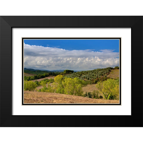 Italy-Tuscany Tuscan landscape Black Modern Wood Framed Art Print with Double Matting by Eggers, Julie