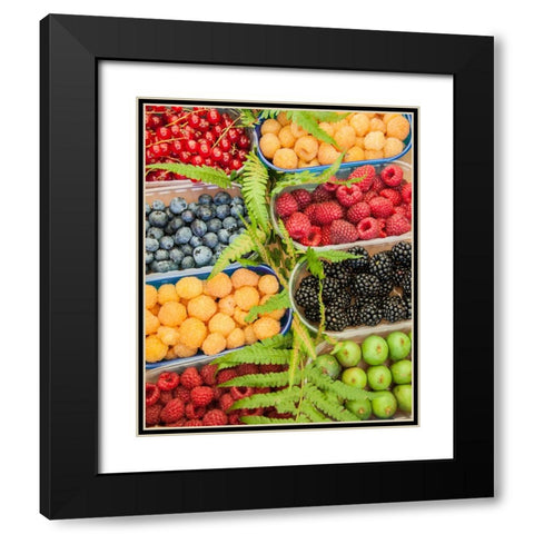 Italy-Venice A variety of berries on display and for sale in the Rialto Market Black Modern Wood Framed Art Print with Double Matting by Eggers, Julie
