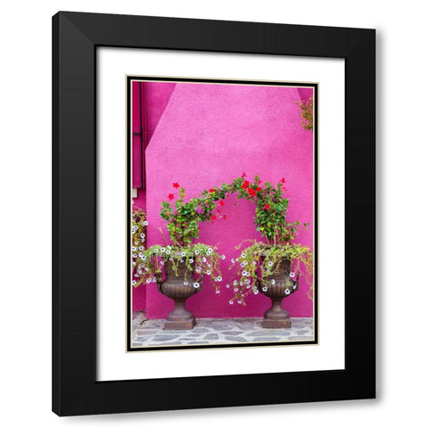 Italy-Venice-Burano Island Urns planted with flowers against a bright pink wall on Burano Island Black Modern Wood Framed Art Print with Double Matting by Eggers, Julie