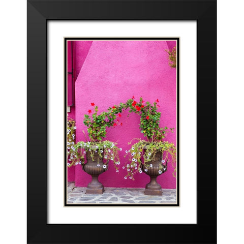 Italy-Venice-Burano Island Urns planted with flowers against a bright pink wall on Burano Island Black Modern Wood Framed Art Print with Double Matting by Eggers, Julie