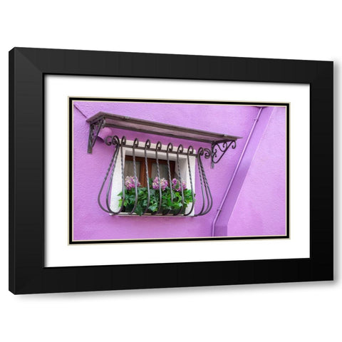 Italy-Venice-Burano Island Potted hydrangeas on a window sill of a lavender house Black Modern Wood Framed Art Print with Double Matting by Eggers, Julie