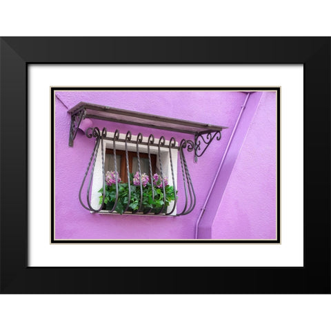 Italy-Venice-Burano Island Potted hydrangeas on a window sill of a lavender house Black Modern Wood Framed Art Print with Double Matting by Eggers, Julie